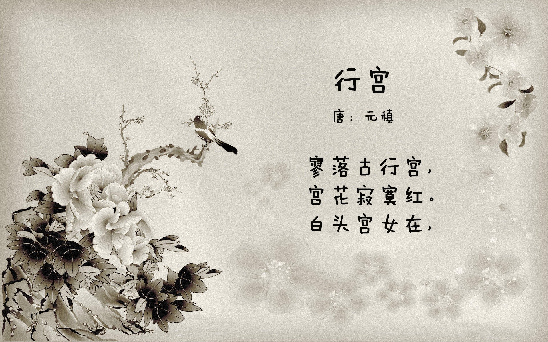 AYX SPORTS-掘金发布“战术之声”播客，教练组分享备战内幕，掘金战术体系